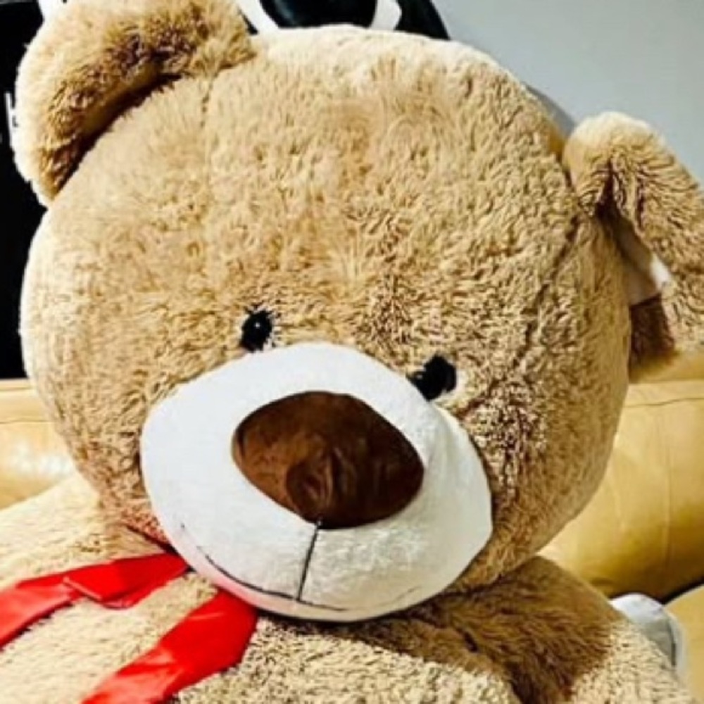 Gros ours en peluche